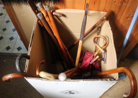 Collection various walking canes, some with silver tops